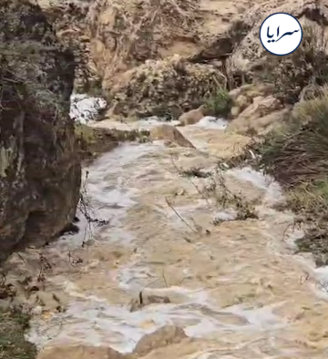 بالفيديو .. جريان لسيول الأمطار في وادي بمحافظة عجلون