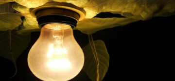 هل يزيد الضوء الصناعي ليلا من خطر الإصابة بأمراض القلب؟