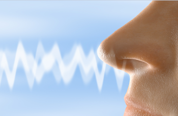 ضعف حاسة الشم لدى كبار السن ينذر بمرض خطير ضعف حاسة الشم لدى كبار السن ينذر بمرض خطير