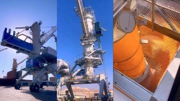 موانئ العقبة تدخل مفرغتي حبوب متطورتين لرفع كفاءة المناولة