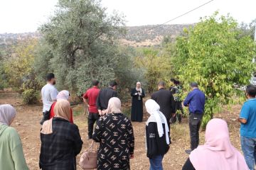 مركز إكساب ينظم يوما حقليا حول قطاع الزيتون