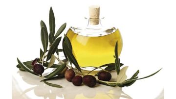 دراسة: زيت الزيتون البكر الممتاز يقي من السمنة والتهابات الدماغ دراسة: زيت الزيتون البكر الممتاز يقي من السمنة والتهابات الدماغ