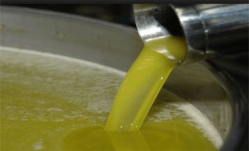 ضبط 26 تنكة زيت زيتون مغشوش في الرمثا ضبط 26 تنكة زيت زيتون مغشوش في الرمثا