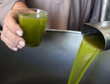 وزارة الزراعة تعلن استقبال طلبات استيراد زيت الزيتون لتعويض انخفاض الإنتاج المحلي