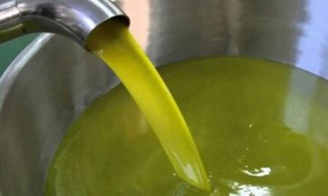 إنتاج زيت الزيتون في الأردن أقل من المعدل الموسمي بـ 44.2 