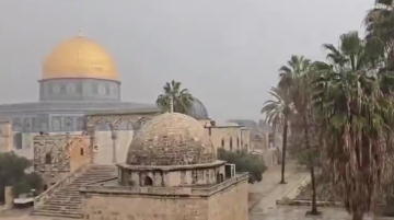 بالفيديو .. تساقط غزير للأمطار في المسجد الأقصى بالفيديو .. تساقط غزير للأمطار في المسجد الأقصى
