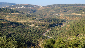  الزراعة تستبعد تأثر المحاصيل سلبا إذا بقي الموسم المطري كما العام الماضي