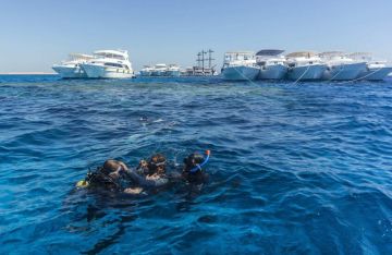 نجاة سياح من حادث غرق محقق في مصر