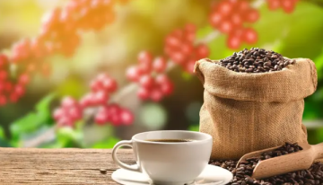 أسعار البن تهبط عالميا عقب إلغاء ترامب الرسوم الجمركية على البرازيل