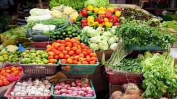 السوق المركزي...البندورة (10_17) قرشا والخيار ( 20 _40 ) قرشا السوق المركزي...البندورة (10_17) قرشا والخيار ( 20 _40 ) قرشا