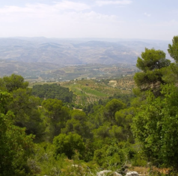 دبين وجهة سياحية طبيعية تجمع بين الجمال والثراء البيئي دبين وجهة سياحية طبيعية تجمع بين الجمال والثراء البيئي