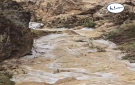 بالفيديو .. جريان لسيول الأمطار في وادي بمحافظة عجلون