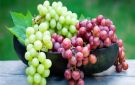 بين العنب الأحمر والأخضر.. أيهما أفضل؟