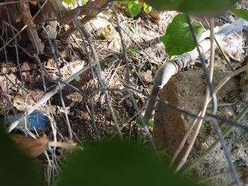 المياه تضبط اعتداءات على خط رئيسي قطر 4 انش في الاغوار الشمالية المياه تضبط اعتداءات على خط رئيسي قطر 4 انش في الاغوار الشمالية