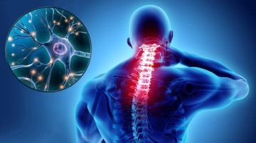 اكتشاف جديد يمهد لعلاج التصلب المتعدد