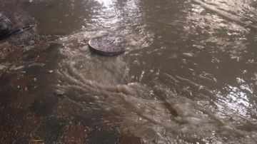 مياه اليرموك تحمل بلدية إربد مسؤولية انسداد خط إشارة بردى مياه اليرموك تحمل بلدية إربد مسؤولية انسداد خط إشارة بردى