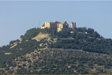 فعاليات في عجلون تؤكد دور المتطوعين في دعم التنمية فعاليات في عجلون تؤكد دور المتطوعين في دعم التنمية