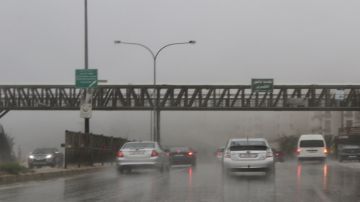 الأشغال تؤكد جاهزيتها للتعامل مع الأحوال الجوية المتوقعة الأشغال تؤكد جاهزيتها للتعامل مع الأحوال الجوية المتوقعة