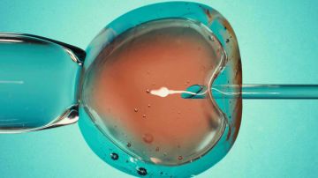 متبرع بالحيوانات المنوية مصاب بطفرة سرطانية ينجب 197 طفلا في أوروبا متبرع بالحيوانات المنوية مصاب بطفرة سرطانية ينجب 197 طفلا في أوروبا