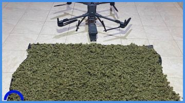 إحباط تهريب مخدرات بواسطة مسيرة على الواجهة الجنوبية