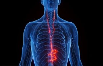 اكتشاف جديد يساعد القلب على مقاومة الشيخوخة اكتشاف جديد يساعد القلب على مقاومة الشيخوخة