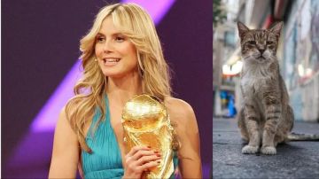 قرعة كأس العالم.. القطة تحولت إلى الفاتنة هايدي كلوم