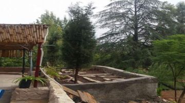 الزراعة تحول مشتل عين جملا الحرجي لإنتاج أشتال الزينة بدلا من الأشتال الحرجية الزراعة تحول مشتل عين جملا الحرجي لإنتاج أشتال الزينة بدلا من الأشتال الحرجية