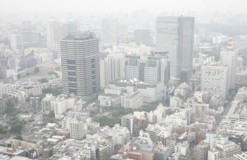 علماء: فيتامين يحمي الرئتين من تلوث الهواء علماء: فيتامين يحمي الرئتين من تلوث الهواء