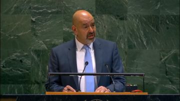 عبيدات: نشدد على ضرورة ترسيخ وقف إطلاق النار في غزة ودعم الأونروا