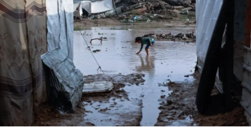 ربع مليون متضرر من العاصفة بغزة .. ووفاة 16 بينهم أطفال ربع مليون متضرر من العاصفة بغزة .. ووفاة 16 بينهم أطفال