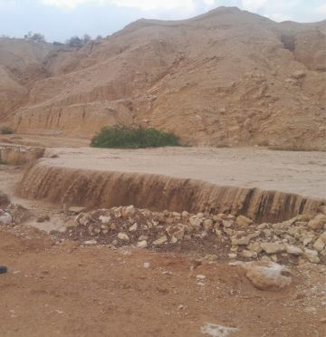 3,6 مليون م مياه دخلت السدود مع ارتفاع الموسم المطري إلى 12,5 عاجل 3,6 مليون م مياه دخلت السدود مع ارتفاع الموسم المطري إلى 12,5 عاجل