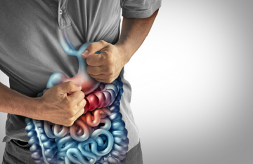 أطعمة تساعد على استعادة ميكروبيوم الأمعاء