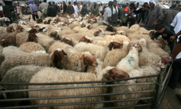 وفاة رجل داخل سوق الحلال في مأدبا وسط الازدحام الخانق وفاة رجل داخل سوق الحلال في مأدبا وسط الازدحام الخانق