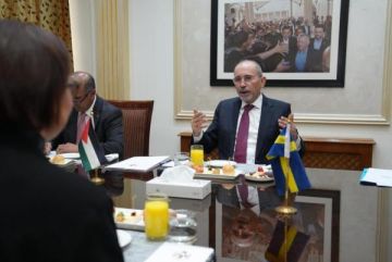 وزير الخارجية يلتقي نظيرته السويدية