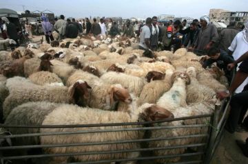 وفاة رجل داخل سوق الحلال وسط اختناق مروري وتعذر الوصول إليه في مأدبا