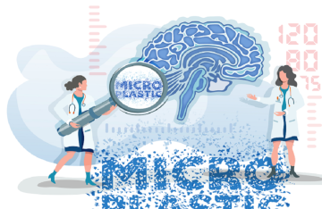 5 تأثيرات خطيرة للبلاستيك الدقيق على الدماغ 5 تأثيرات خطيرة للبلاستيك الدقيق على الدماغ