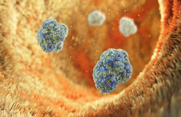 خبر سار .. اكتشاف قد يحدث ثورة بالوقاية من السمنة