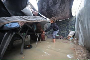 الحرب لم تنته: إسرائيل تستبدل الصواريخ بسلاح الطبيعة.. والضحايا هم أنفسهم عاجل الحرب لم تنته: إسرائيل تستبدل الصواريخ بسلاح الطبيعة.. والضحايا هم أنفسهم عاجل