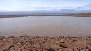 شاهد - بدء فيضان سد الوحيدي في معان ووزارة المياه تحذر من الاقتراب من مجاري السيول شاهد - بدء فيضان سد الوحيدي في معان ووزارة المياه تحذر من الاقتراب من مجاري السيول