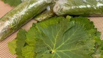 عشان رمضان .. خطوات حفظ ورق العنب بطريقة صحيحة لمدة أطول