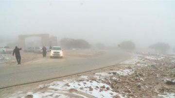 تجدد الهطولات الثلجية فوق مرتفعات الطفيلة والشوبك ومعان