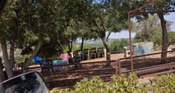 زراعة و بلدية المزار الشمالي تنفذان مشاريع ومبادرات متعددة خلال العام زراعة و بلدية المزار الشمالي تنفذان مشاريع ومبادرات متعددة خلال العام