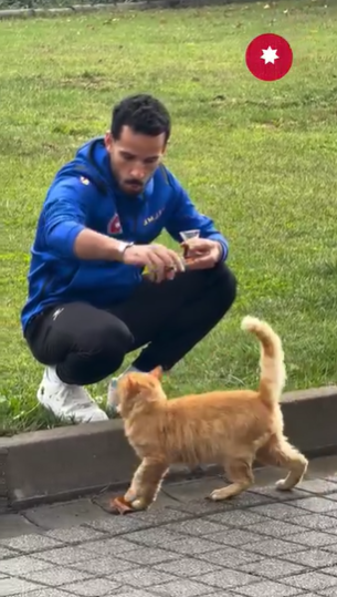 بالفيديو ..  محمود المرضي صاحب القلب الجميل يداعب احد القطط