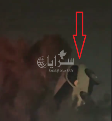 بالفيديو .. حادث غريب يتصدر مواقع التواصل .. استقرار سيارة فوق شجرة