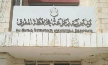 زراعة المفرق: الأمطار الأخيرة تعزز الآمال بموسم جيد