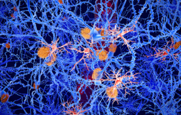 علاج مبتكر للصرع يعيد الذاكرة ويقي من النوبات