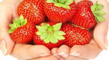 الفراولة هل تناولها يرفع درجة حرارة الجسم؟ الفراولة هل تناولها يرفع درجة حرارة الجسم؟