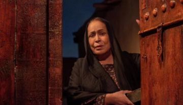 التهابات ودخول العناية للمرة الثانية.. تفاصيل وعكة حياة الفهد الصحية قبل استقرار حالتها