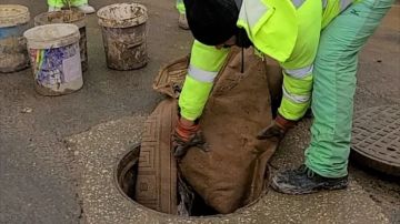 عمال وطن يعثرون على موكيت داخل منهل في عمان .. فيديو