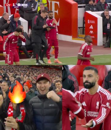 سلوت يفاجئ الجماهير بإشراك محمد صلاح .. واستقبال تاريخي يهز أنفيلد سلوت يفاجئ الجماهير بإشراك محمد صلاح .. واستقبال تاريخي يهز أنفيلد